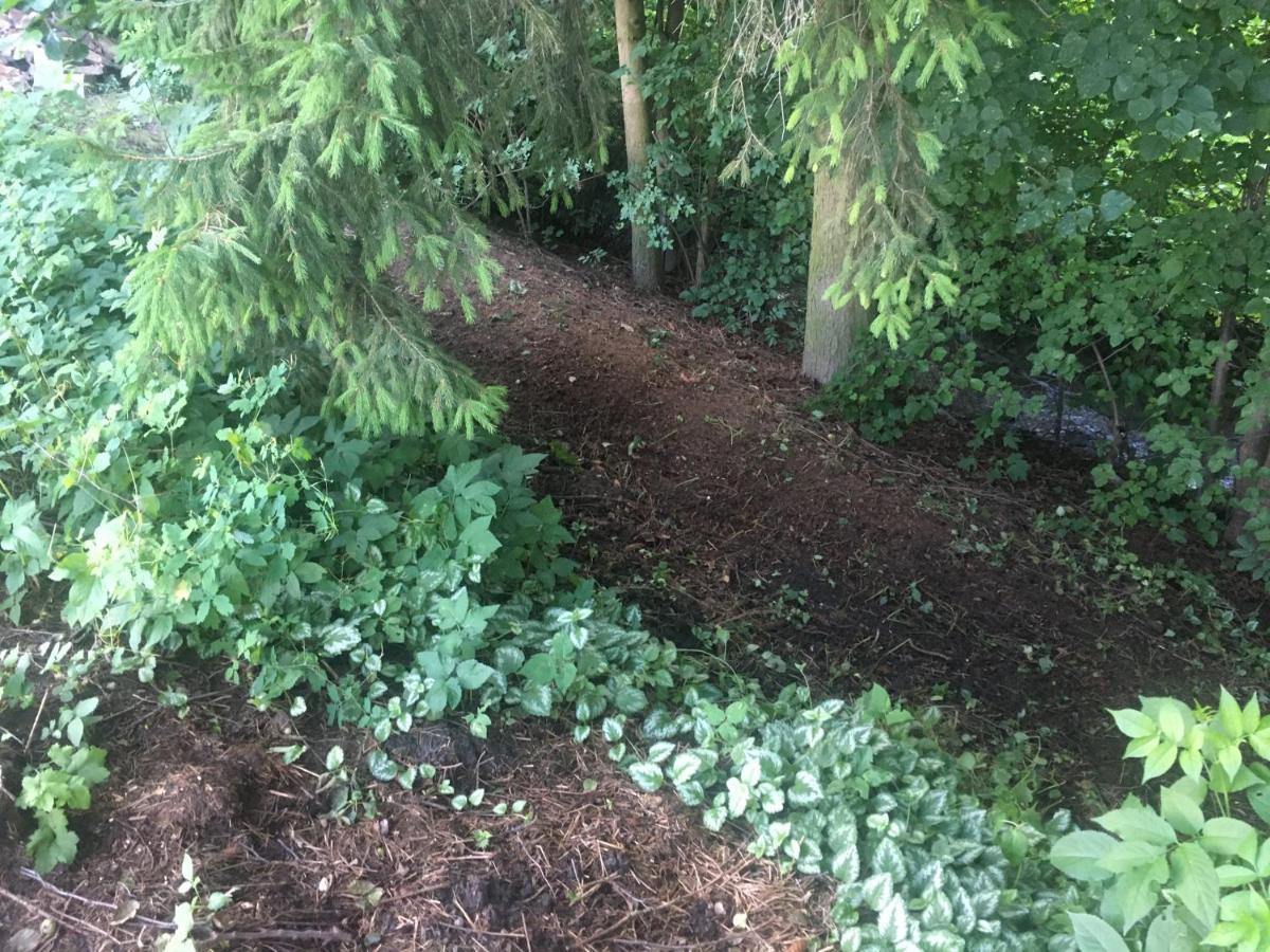 Apartman Pod Borovici Kovalovice Buitenkant foto